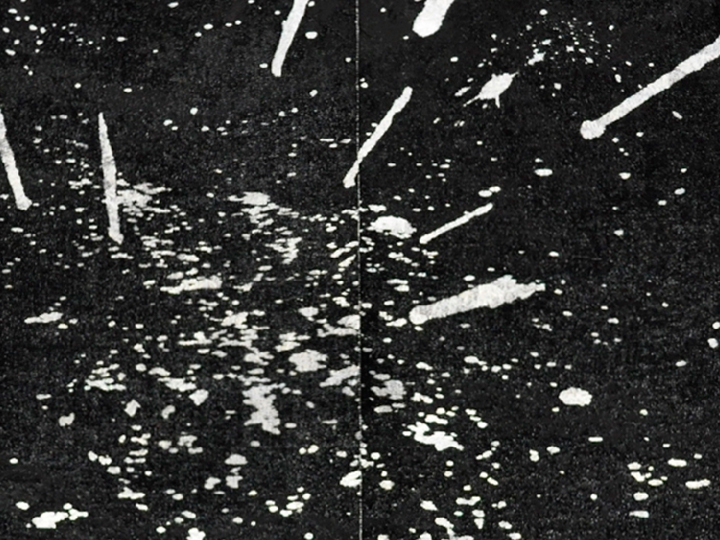 黃文英 HUANG Wen-Ying